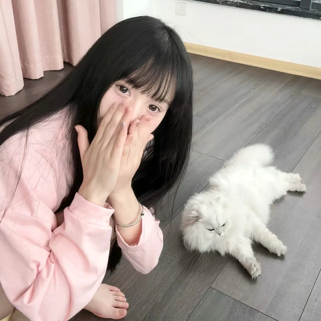 毛丰美